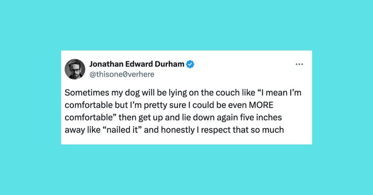 31 Of The Funniest Tweets About Cats And Dogs This Week (April 6-12)