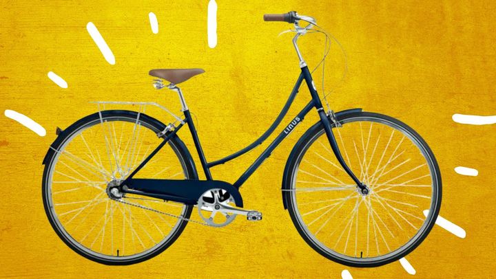 The Linus Dutchi 3 City Bike was one everyday bike option recommended by bike shop owners.