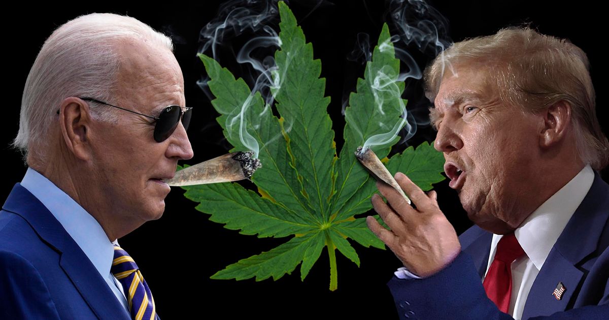 Cannabis Insiders Debate Smoking With Biden Or Trump