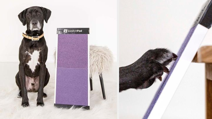 The ScratchPad scratching board from Etsy offers a gentle, non-invasive method for trimming your dog's nails.