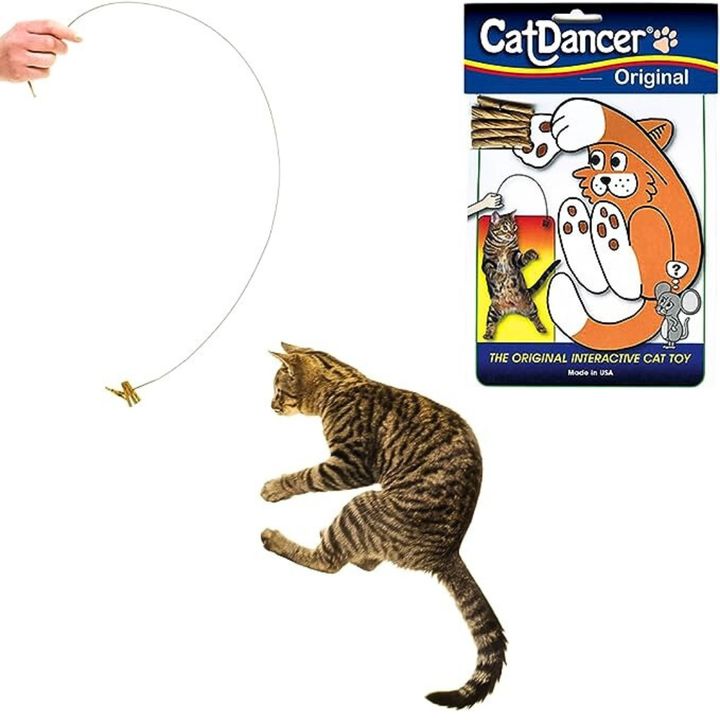The famous Cat Dancer toy from Amazon.