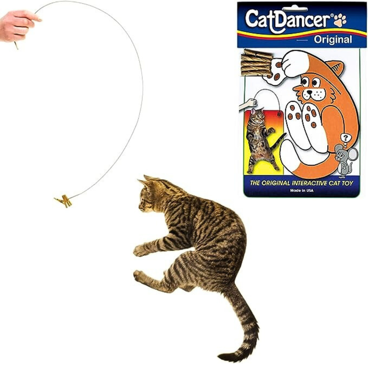 The Real Reason Cats Are Obsessed With This $4 Toy | HuffPost Life