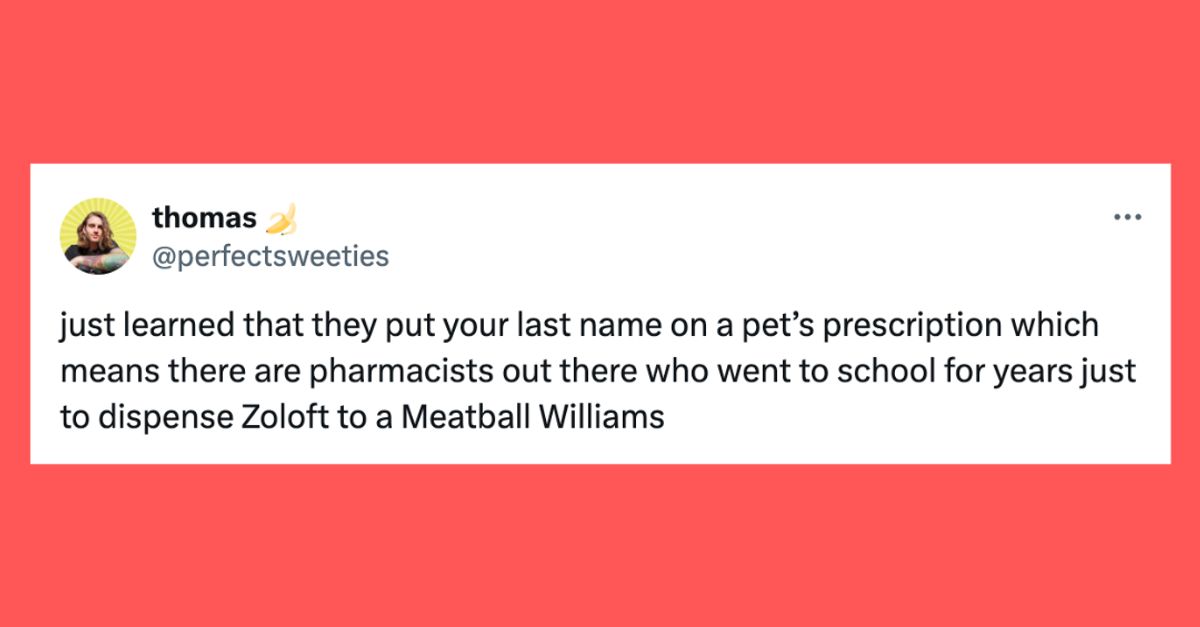 30 Of The Funniest Tweets About Cats And Dogs This Week (April 13-19)