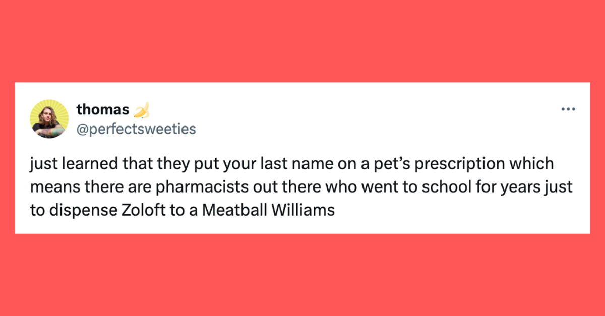 30 Of The Funniest Tweets About Cats And Dogs This Week (April 13-19)