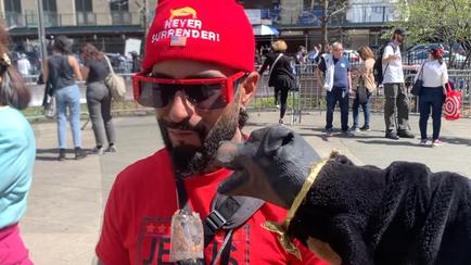 Triumph The Insult Comic Dog Asks Trump Supporters What Crime They'll Ignore Most