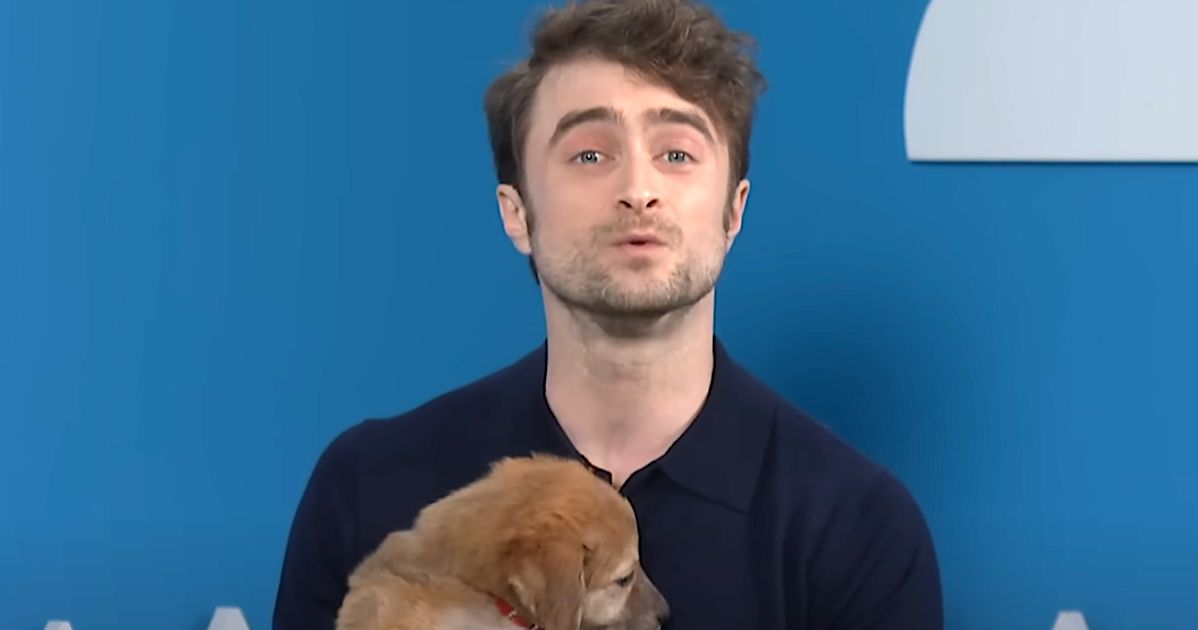 Watch Daniel Radcliffe Sell You On Rescue Pups With Harry Potter Shtick