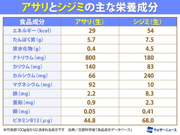 アサリとシジミの主な栄養成分