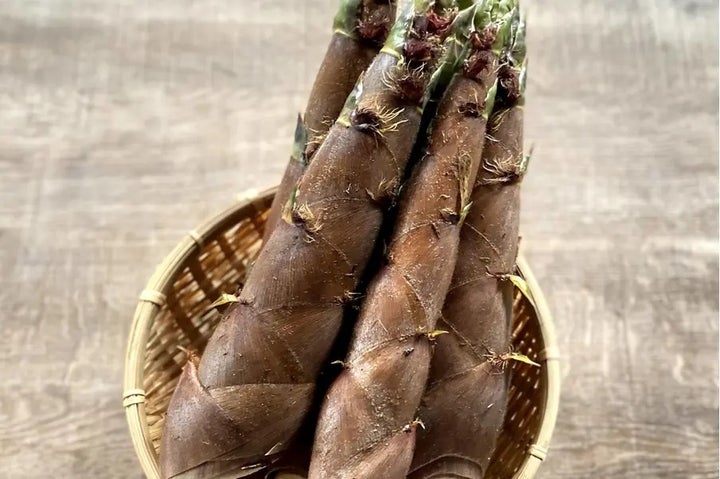 破竹たけのこの下ごしらえと、土佐煮の作り方