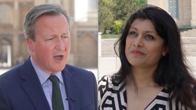 Journalist Asks David Cameron Outright If Rwanda Bill Is A Consequence
Of Brexit