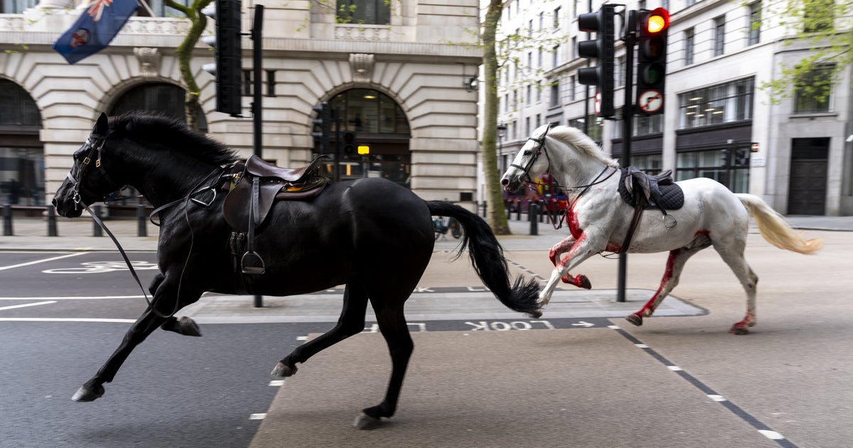 So Why Were Horses Running Loose Around London, Covered In Blood? - Vimarsana News