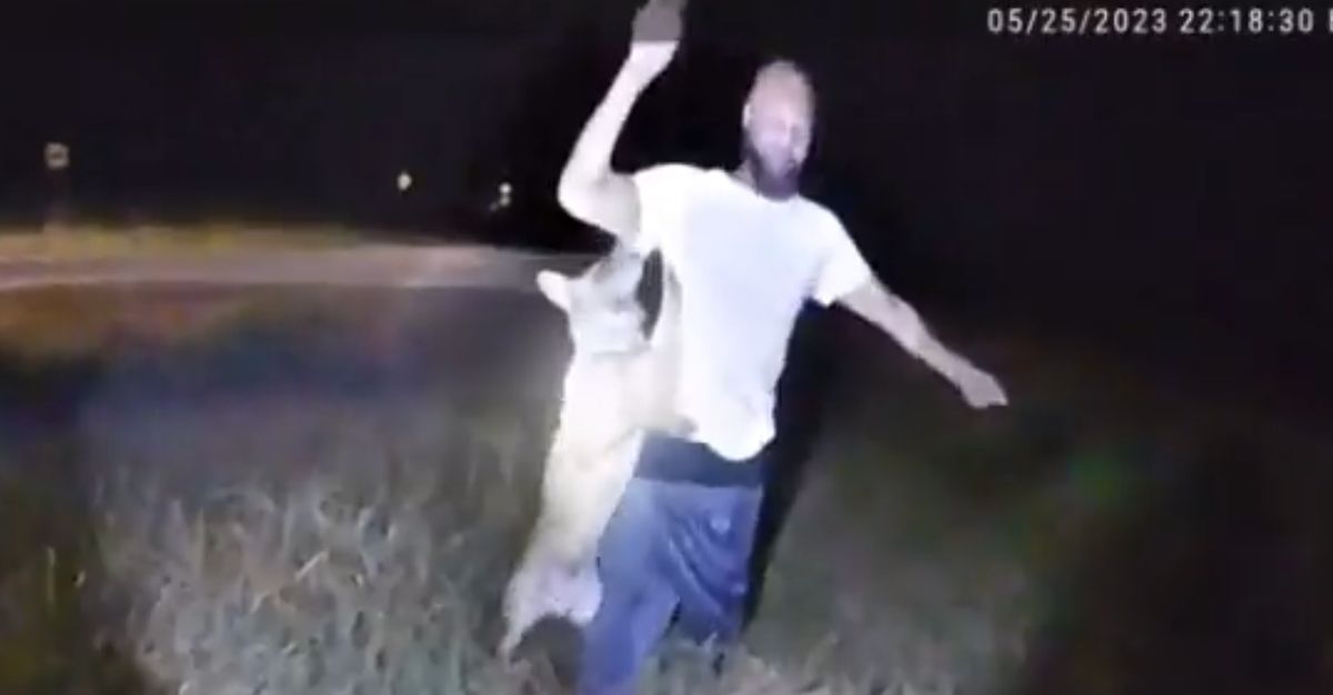 Police Dog Ordered To Attack An Unarmed Black Man In Front Of His 9-Year-Old Son