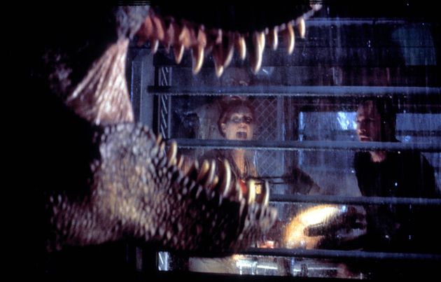 The Lost World: Jurassic Park starred Julianne Moore and Jeff Goldblum