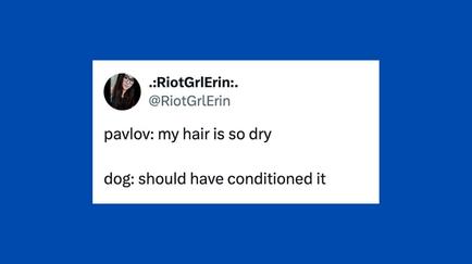 24 Of The Funniest Tweets About Cats And Dogs This Week