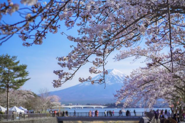 Το βουνό Φούτζι και η λίμνη γύρο από αυτό είναι απο τα πιο γνωστυά σημεία της Ιαπωνίας.