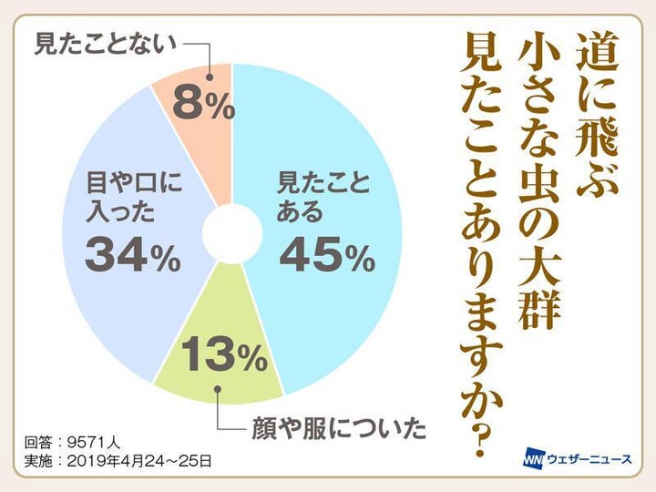 春の川沿いに大量発生する小虫の正体とは？ 人体への影響は？