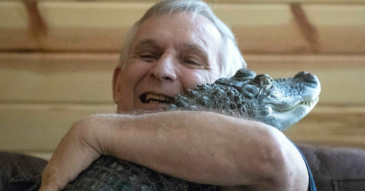 Mann sagt, dass sein emotionaler Hilfs-Alligator verschwunden ist: 'Bringt ...