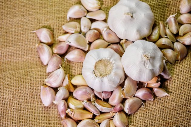 Follow This Extremely Simple Trick To Grow UNLIMITED Garlic At Home
