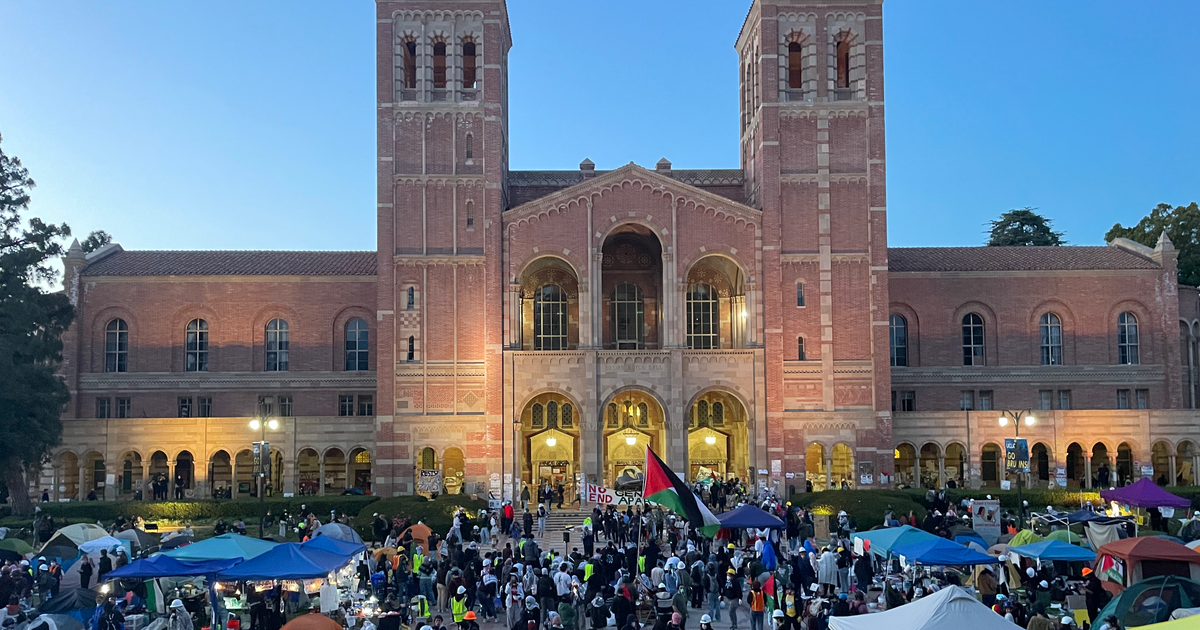 Inside UCLA's Palestinian Solidarity Encampment — Before Police Tore It Apart