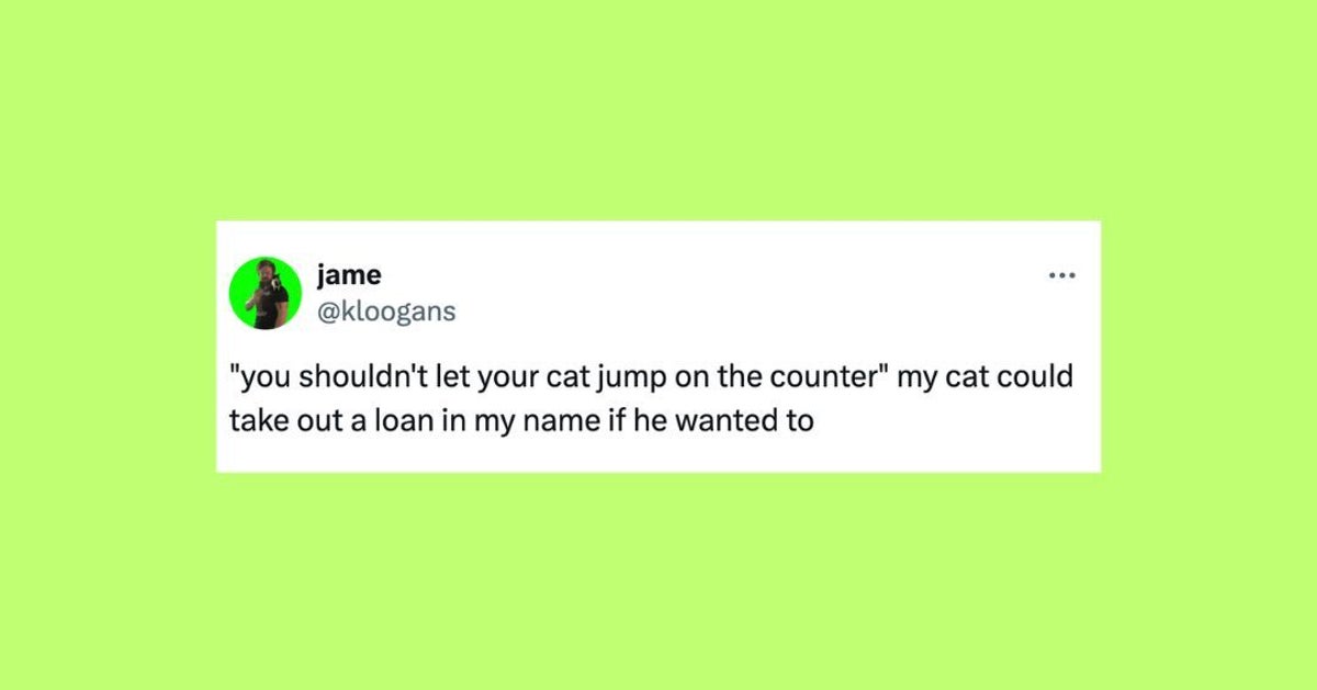 23 Of The Funniest Tweets About Cats And Dogs This Week (April 27-May 3)