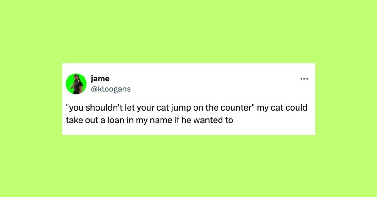 23 Of The Funniest Tweets About Cats And Dogs This Week (April 27-May 3)