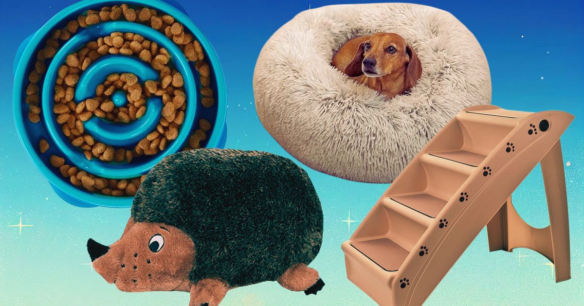 The Best Deals From Amazon’s Pet Day 2024 Sale