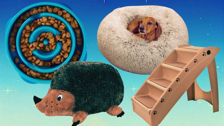 Amazon's annual Pet Day sales event is happening right now.