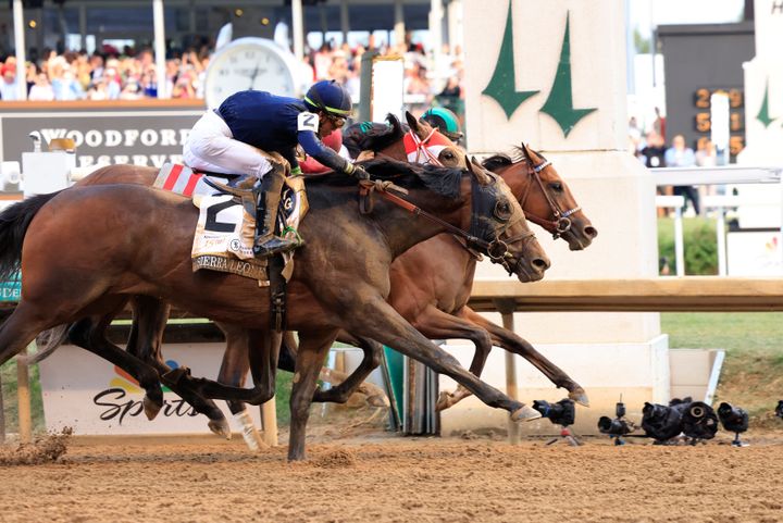 LOUISVILLE, KENTUCKY - MAY 04: Mystik Dan #3, ridden by jockey Brian J. Hernandez Jr. crosses the finish line to win the 150th running of the Kentucky Derby at Churchill Downs on May 04, 2024 in Louisville, Kentucky. (Photo by Justin Casterline/Getty Images)