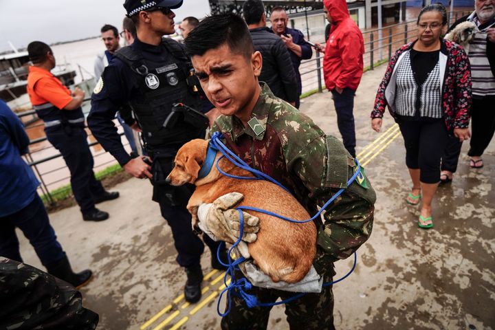 A soldier evacuates a dog from an area flooded by heavy rains, in Porto Alegre, Rio Grande do Sul state, Brazil, Friday, May 3, 2024. (AP Photo/Carlos Macedo)