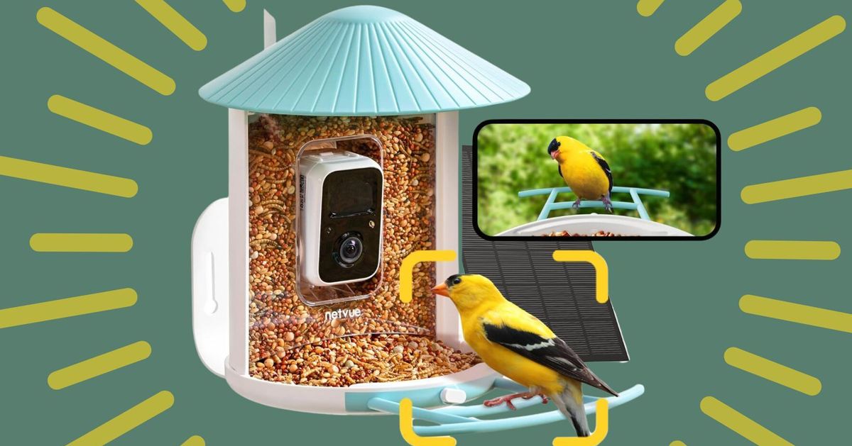 This Smart Bird Feeder Camera Is Up To 29% Off Right Now
