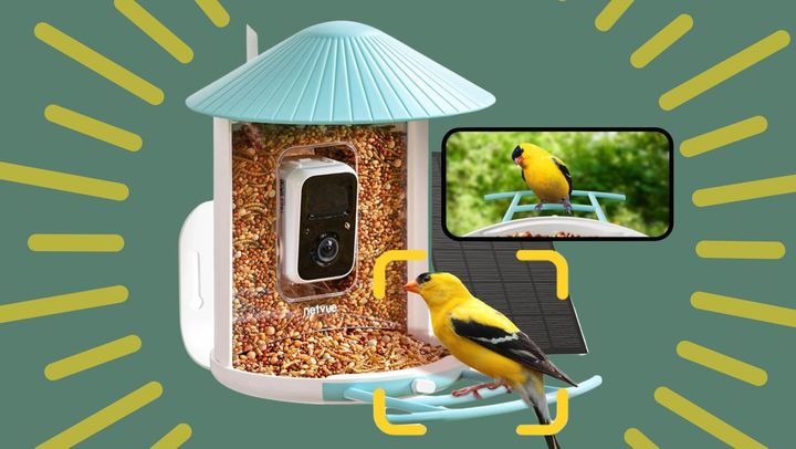 The Netvue Birdfy smart camera feeder auto-identifies over 6,000 bird species. 