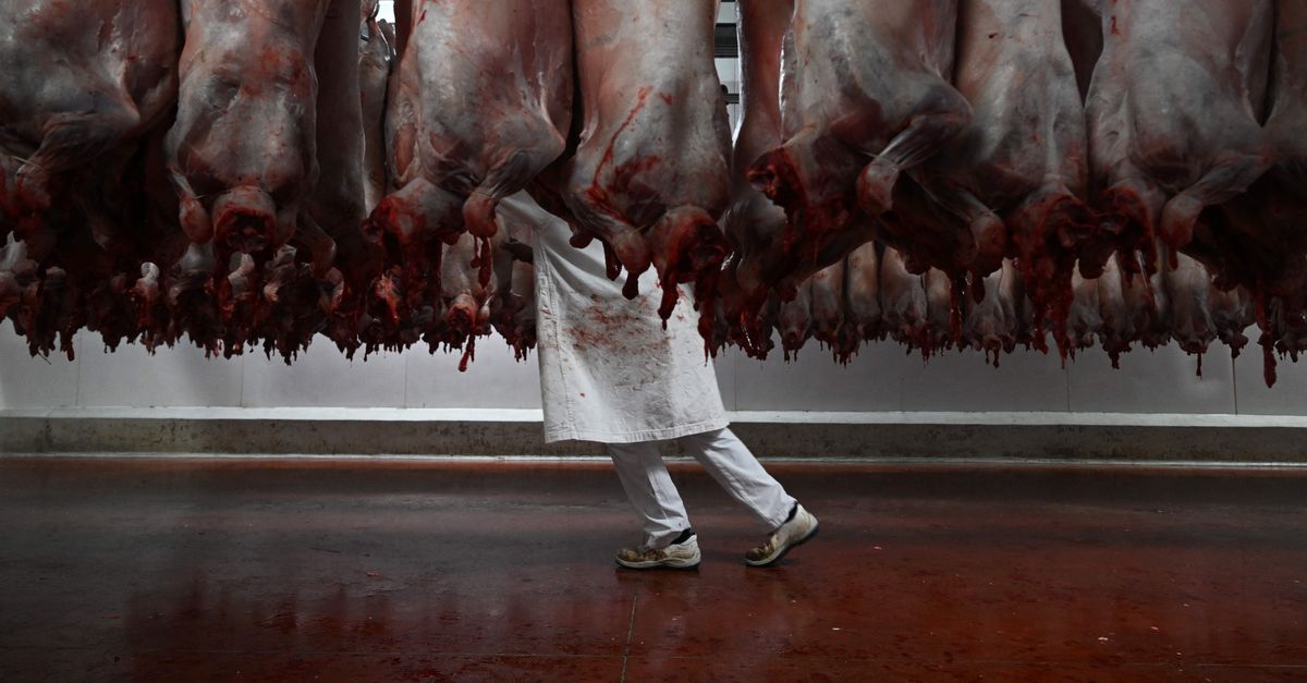 Cleaning Company Fined Nearly $650,000 After Hiring Kids To Clean Slaughterhouses