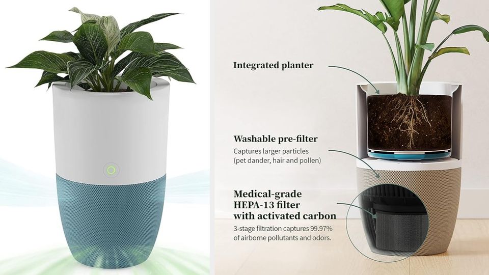 10 Attractive Air Purifiers That'll Look Nice At Home 