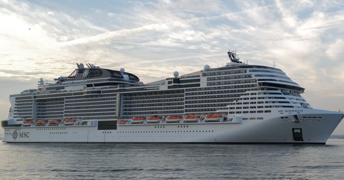 Cruise Ship Sails Into NYC Port With 44-Foot Dead Whale Across Its Bow ...