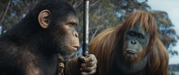 Young Noa learns a fascinating lesson from Raka in "Kingdom of the Planet of the Apes."