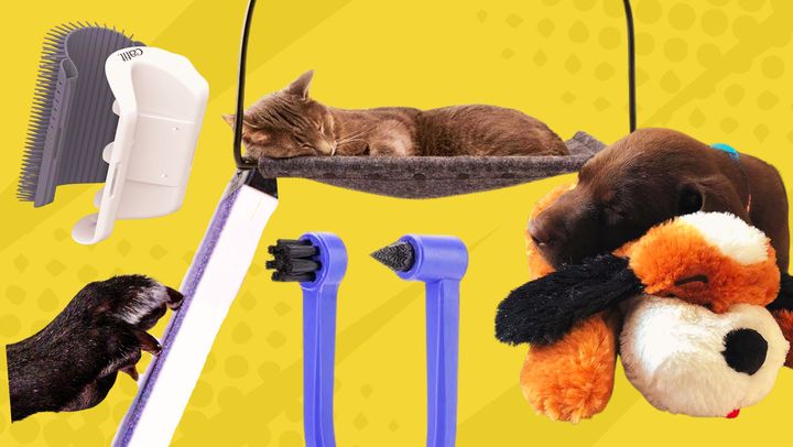 From anxiety-soothing beating heart stuffed animals and meticulously designed pet toothbrushes for smaller jaws, these are some of the most innovative pet products you'll find online right now.