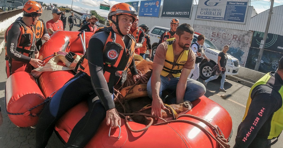 Brazilian Horse Stranded On A Roof By Floods Is Rescued After Stirring The Nation
