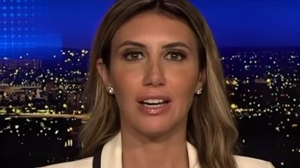 Trump Attorney Alina Habba Mercilessly Mocked For Pure Projection