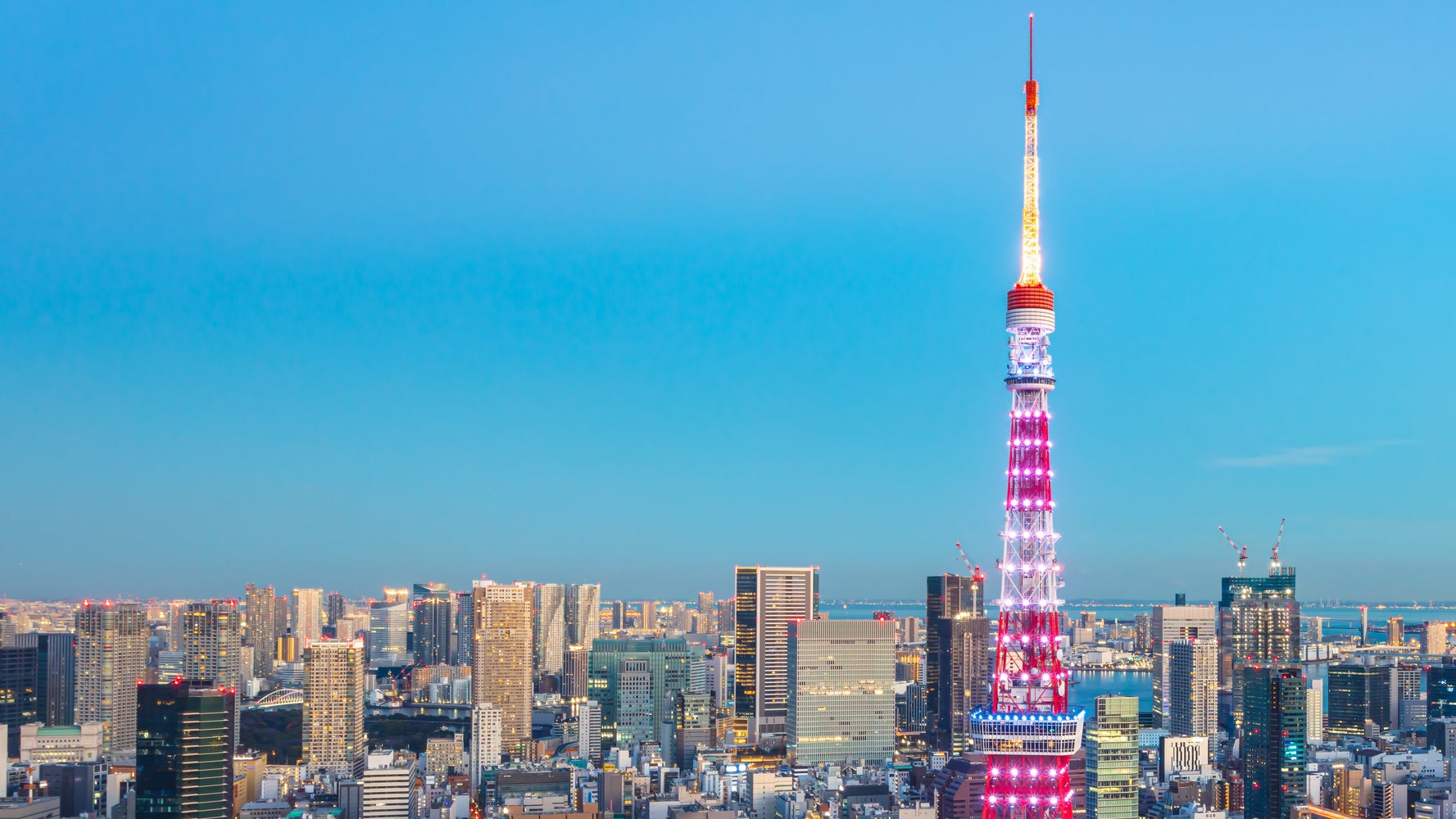 東京タワーを横切るJALの飛行機」が圧巻。奇跡の瞬間はこう撮影