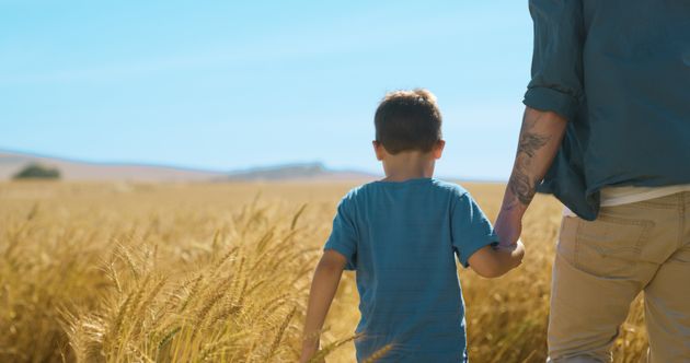 Nature, dad and boy in wheat field holding hands with growth, development and support in countryside. Bonding, father and child on sustainable farm with mockup, outdoor plants and blue sky from back