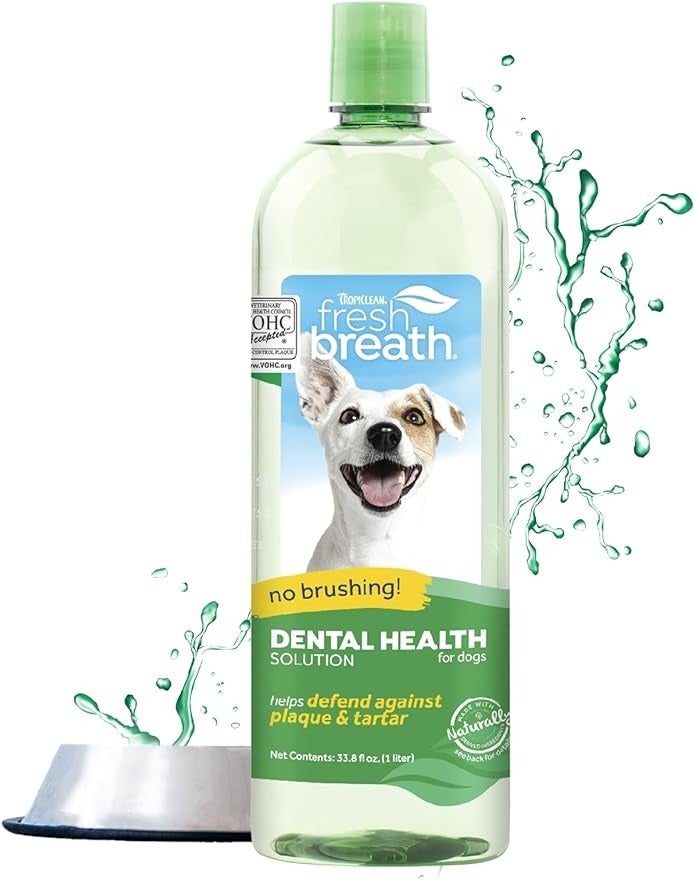 The Best Dental Products For Brushing Your Pet s Teeth HuffPost Life