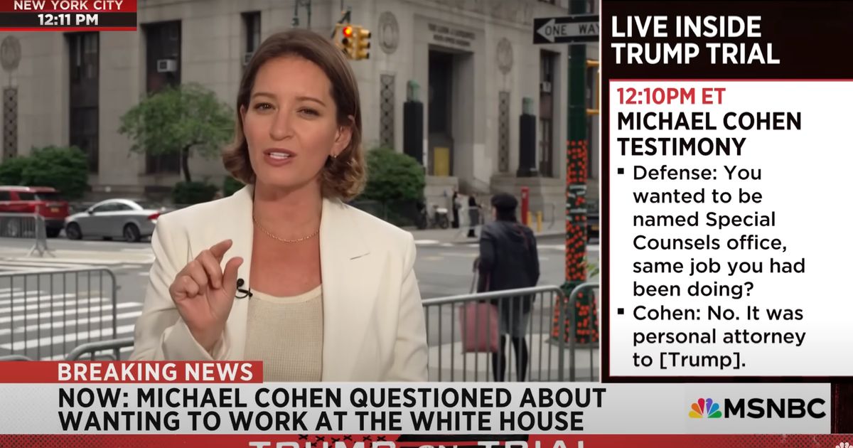 MSNBC Host Says Trump Allies Had ‘Mean Girls’ Moment With George Conway In Court