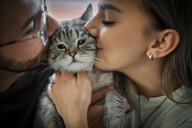 “In general, my experience is that cats seem more comfortable with quieter, higher-pitched voices, and a less threatening or loud approach,” cat behaviorist Mikel Delgado said.