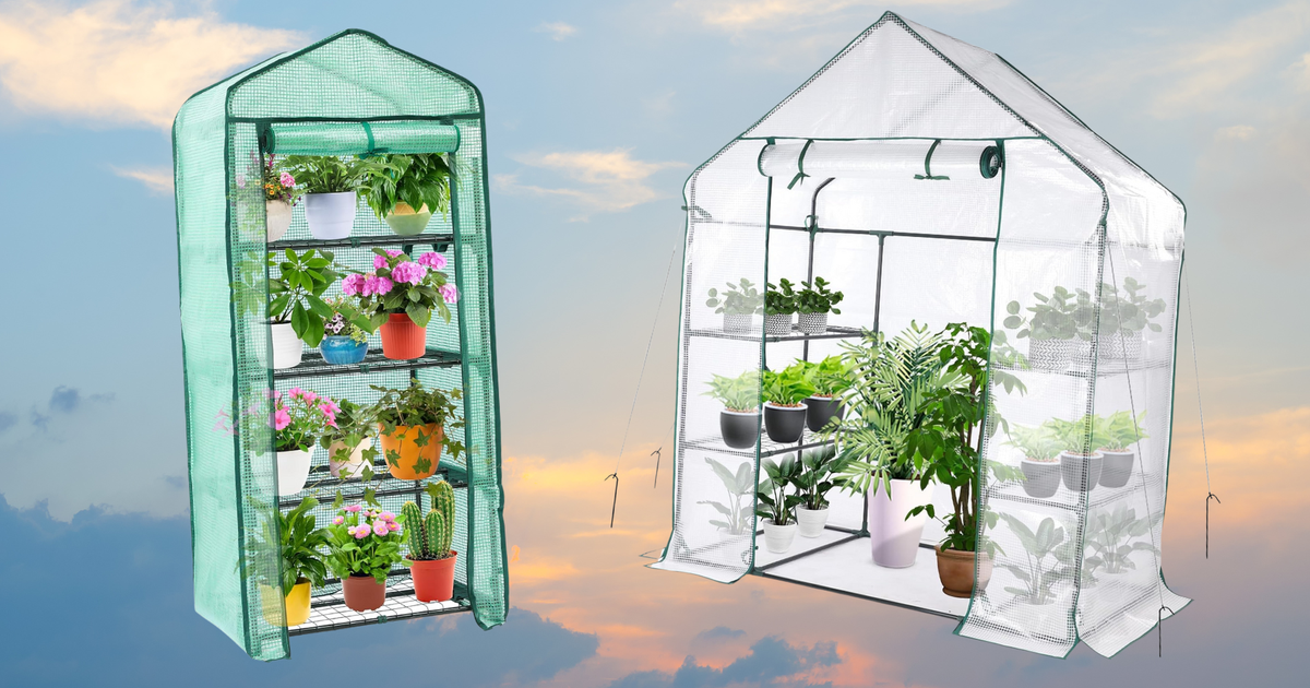 Nobody Will Ever Guess Where Your Lovely Small-Space Greenhouse Came From