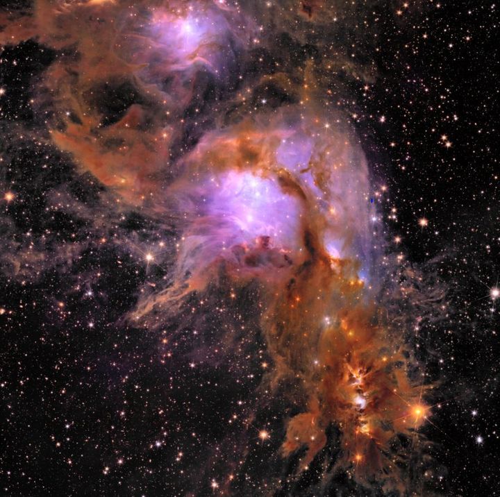 Το Messier 78, ένα φυτώριο αστεριών που περιβάλλεται από διαστρική σκόνη, στο οποίο το τηλεσκόπιο εντόπισε κρυφές περιοχές σχηματισμού άστρων για πρώτη φορά χαρτογραφώντας τα πολύπλοκα νήματα αερίου και σκόνης με λεπτομέρεια και αποκαλύπτοντας νεοσχηματισμένα αστέρια και πλανήτες.