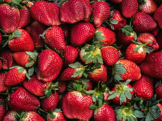 The Crucial Health Reason Behind Why You Shouldn’t Throw Out Strawberry Leaves