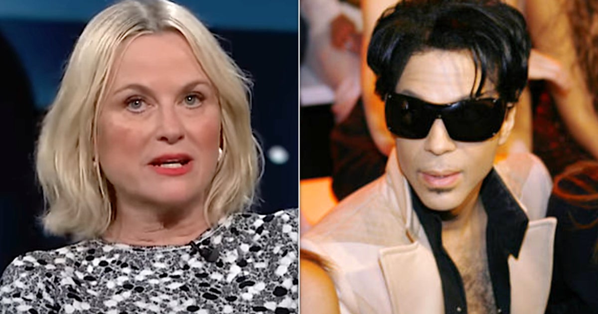 Amy Poehler Doomed Her One Chance With Prince With The Dorkiest Question