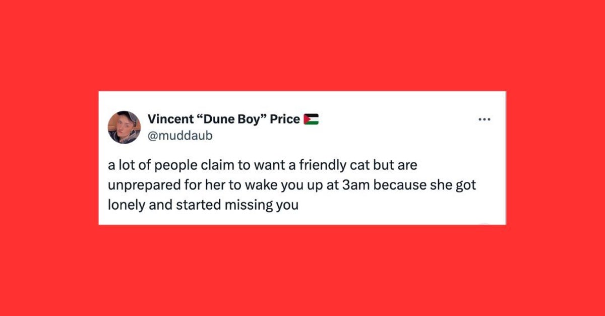 26 Of The Funniest Tweets About Cats And Dogs This Week (May 18-24)