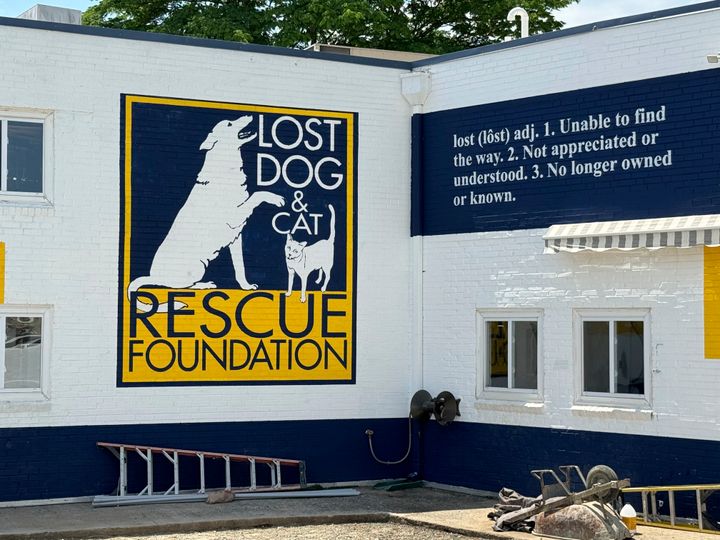 バージニア州フォールズ・チャーチにある「ロストドッグ＆キャットレスキュー基金」の建物（2024年5月24日）