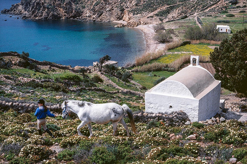 Πάτμος. Στο μονοπάτι από τη Βαγιά στον Γερανό, πάνω από το εκκλησάκι της Ζωοδόχου Πηγής, με ανοιξιάτικα λουλούδια.