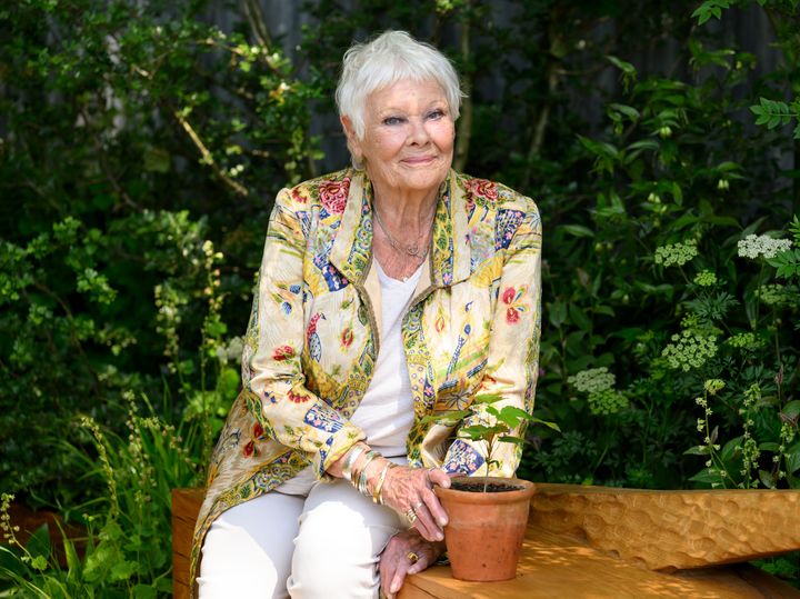 Dame Judi Dench at the Chelsea Flower Show last week